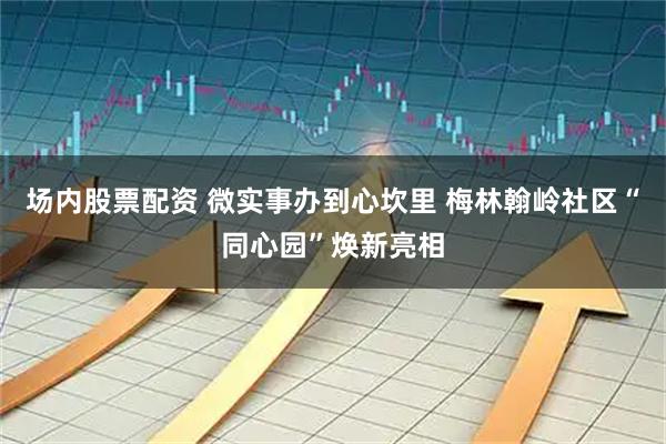 场内股票配资 微实事办到心坎里 梅林翰岭社区“同心园”焕新亮相